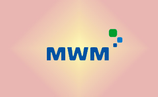 ✓ MWM 0331 7151 Запчасть MWM 